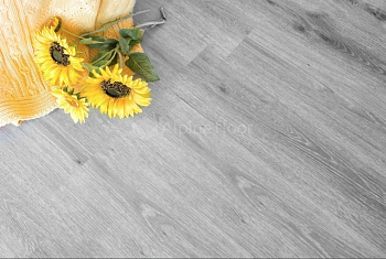 Клеевая кварцвиниловая плитка Alpine Floor Ultra ДУБ ПЕПЕЛЬНЫЙ ECO 5-16